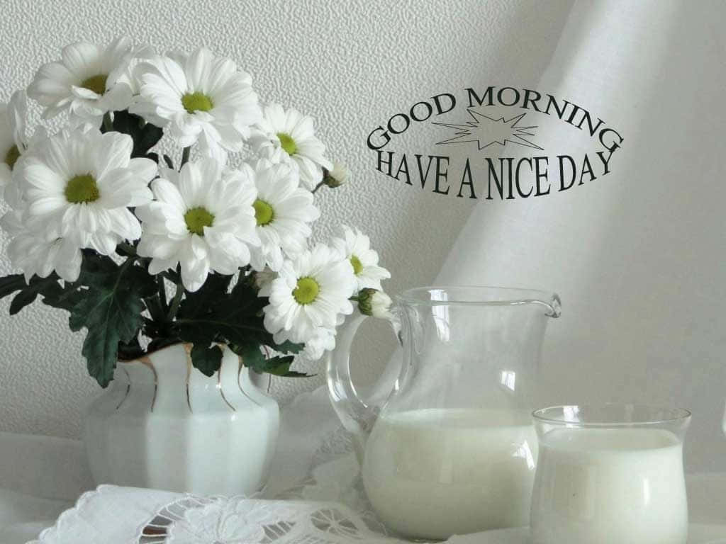 Good Morning Friday, white daisies, vase, SD Desktop Wallpaper