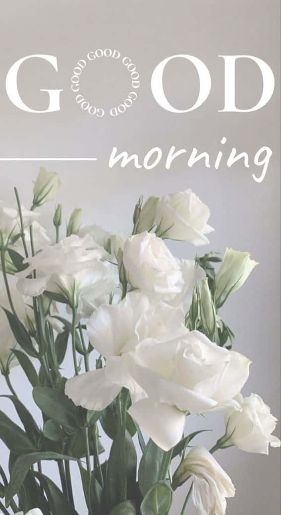 Good Morning, white roses, green stems, SD Phone Wallpaper