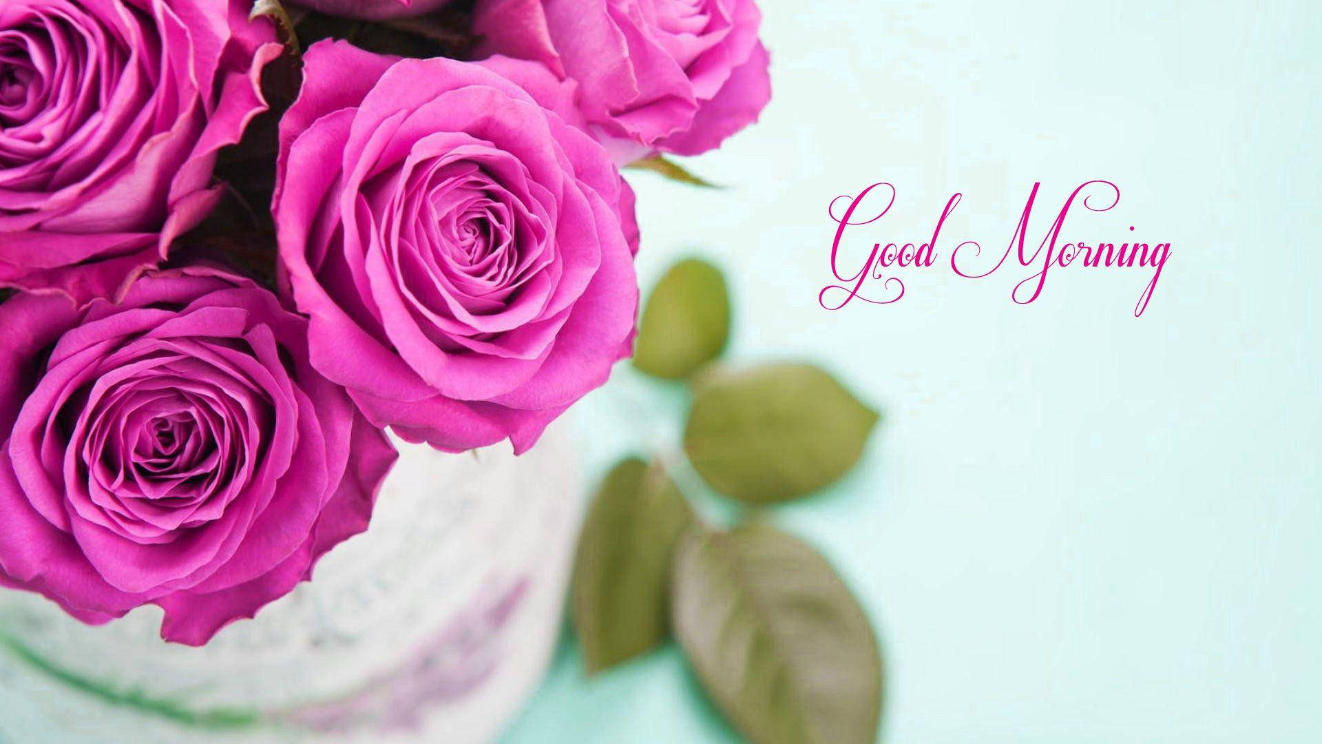 pink roses, white vase, soft mint background, Full HD Desktop Wallpaper