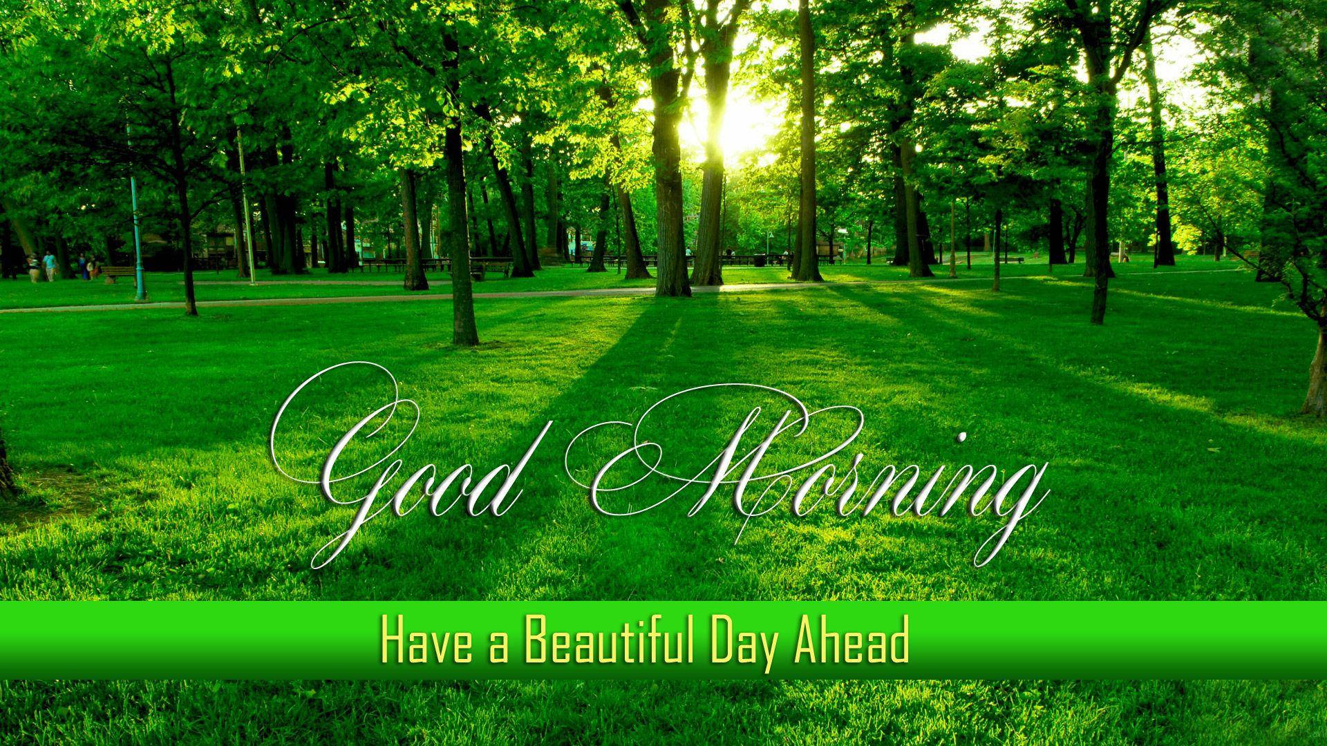 Good Morning HD, lush green trees, vibrant grassy park, Full HD Desktop Wallpaper