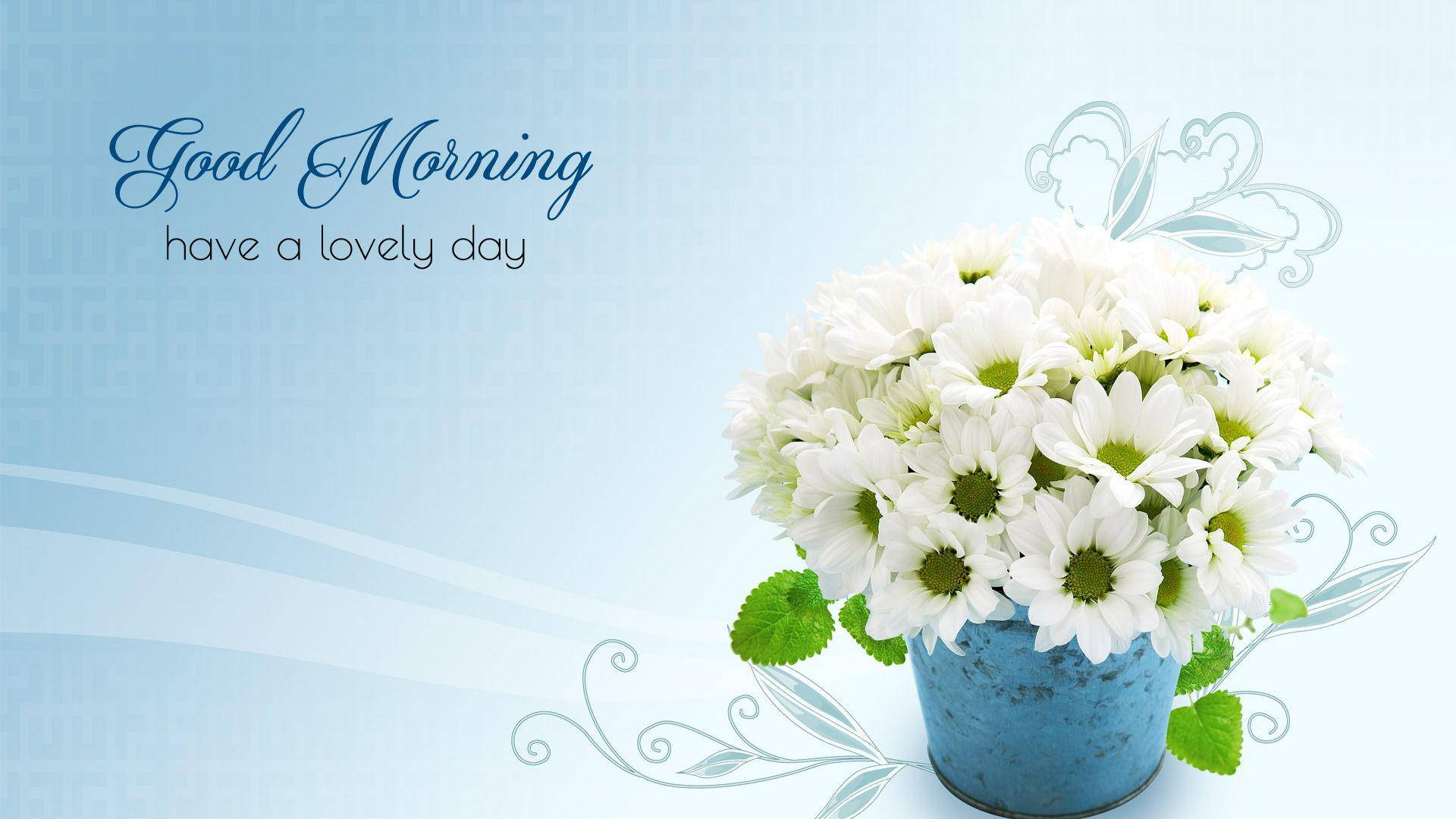 blue rustic bucket, white daisies, soft gradient blue background, Full HD Desktop Wallpaper