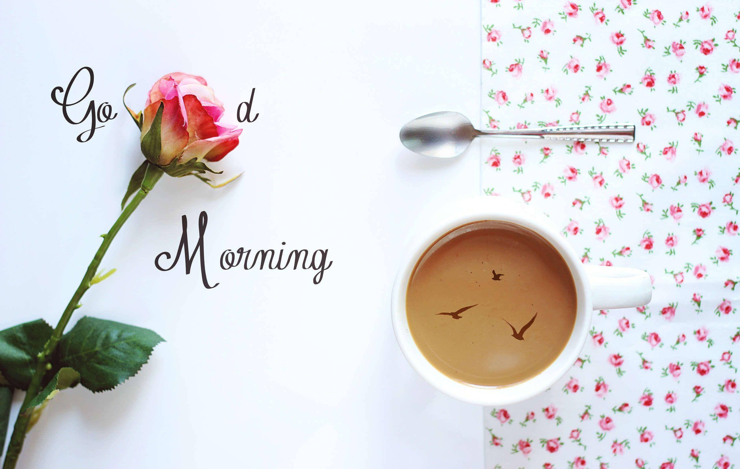 Good Morning HD, rose, coffee cup, 2K Desktop Wallpaper