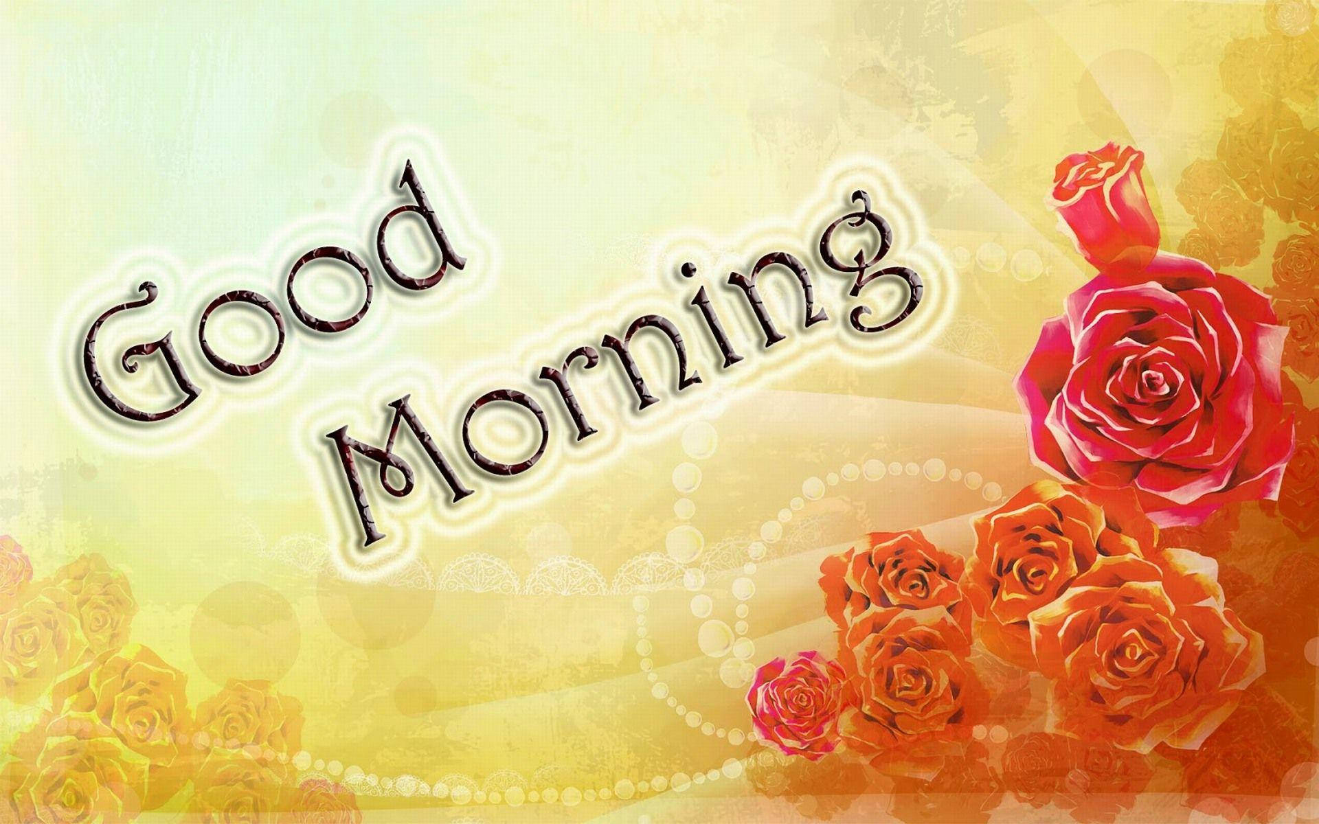 Good Morning HD, orange flowers, vibrant red and orange roses, Full HD Desktop Wallpaper