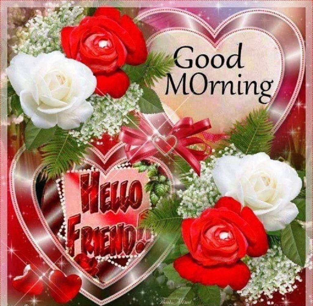 Good Morning, Hello Friend, red and white roses, SD Desktop Wallpaper