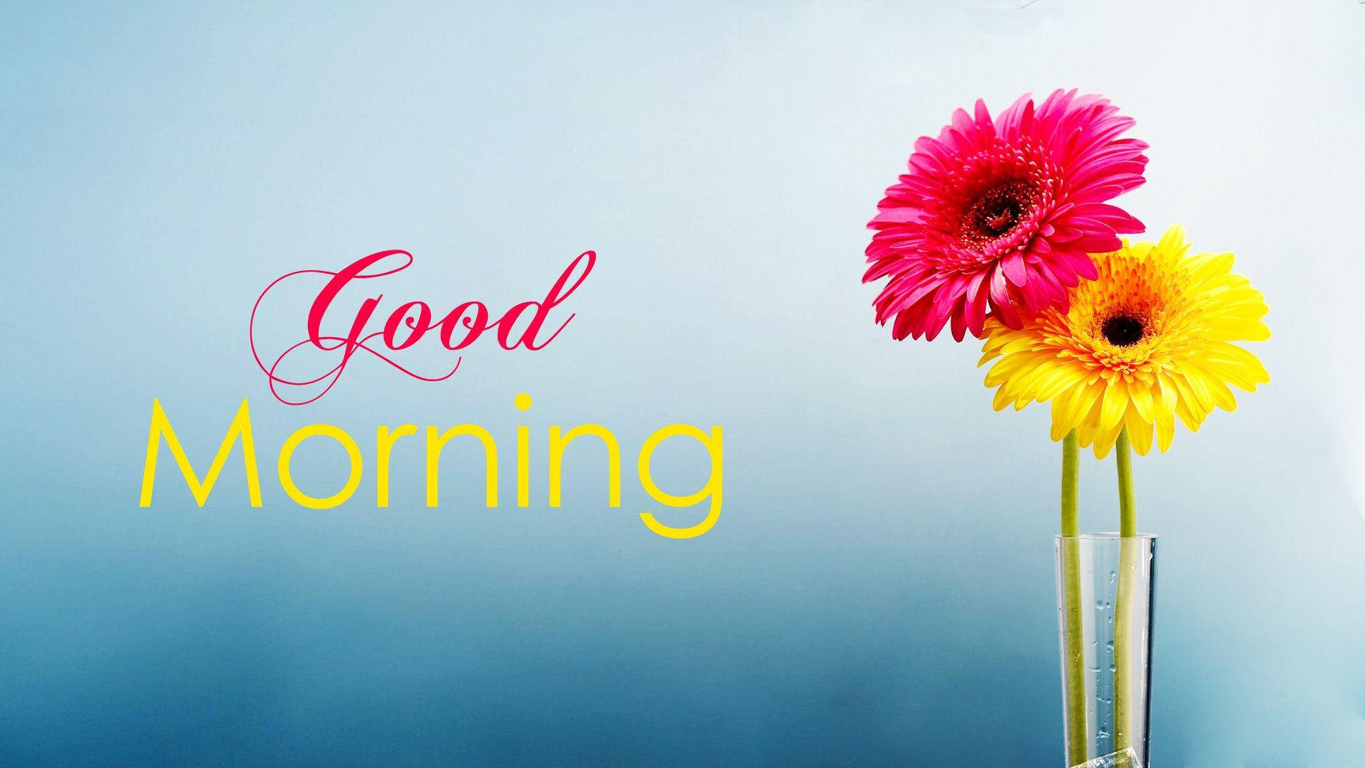 Gerbera Daisies, pink and yellow, glass vase, Full HD Desktop Wallpaper