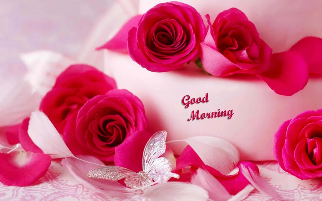 Good Morning My Love