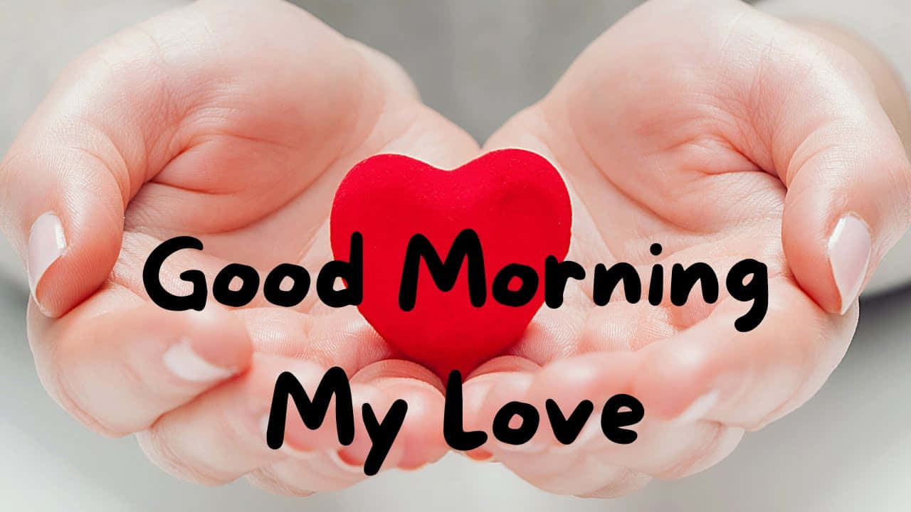 Good Morning My Love, red heart, hands, HD Desktop Wallpaper