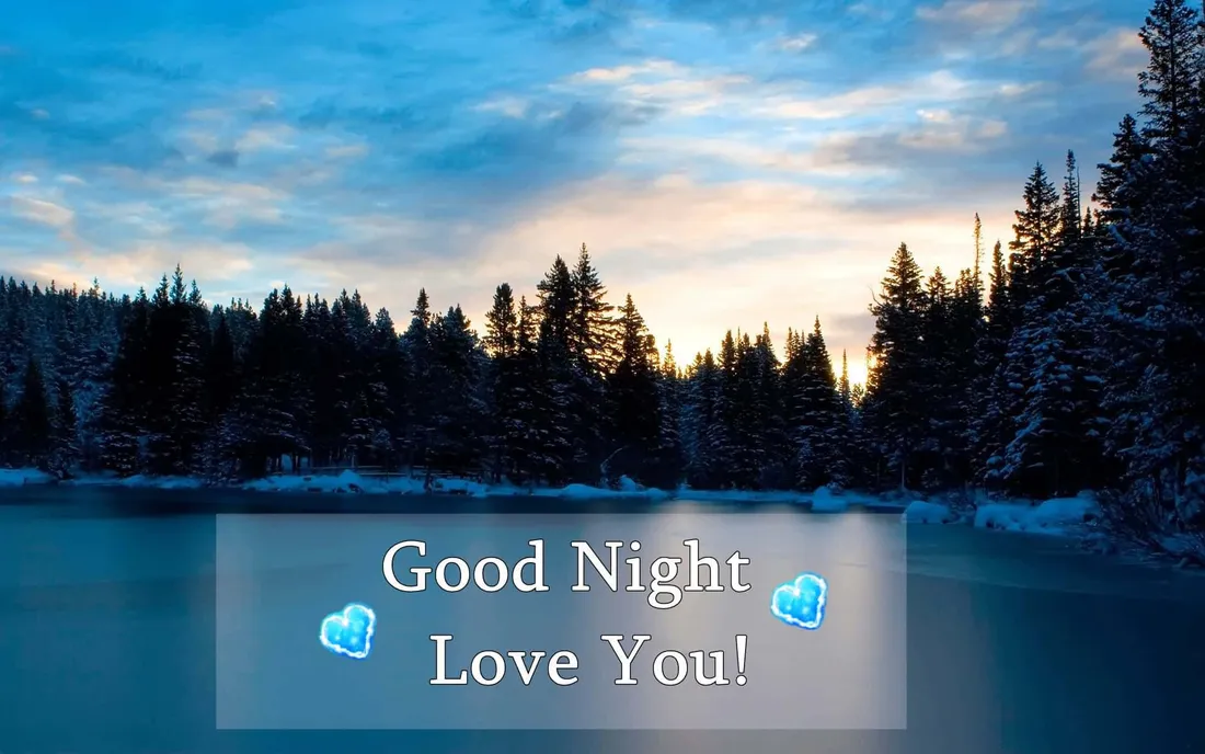 Good Night My Love