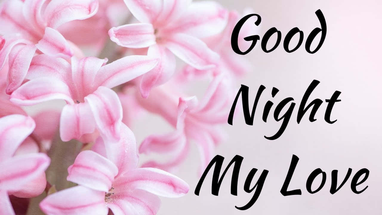 Good Night My Love, pink hyacinth flowers, black cursive text, HD Desktop Wallpaper