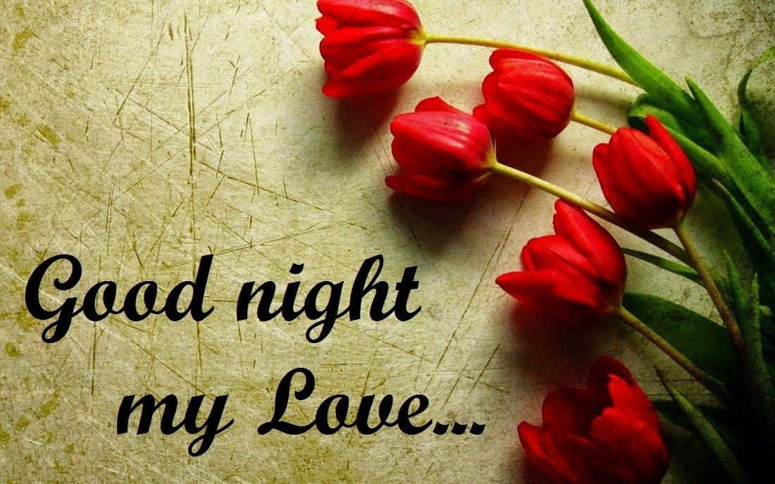 Good Night My Love, floral message, vibrant red tulips, SD Desktop Wallpaper