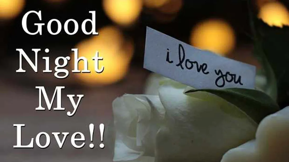 Good Night Rose