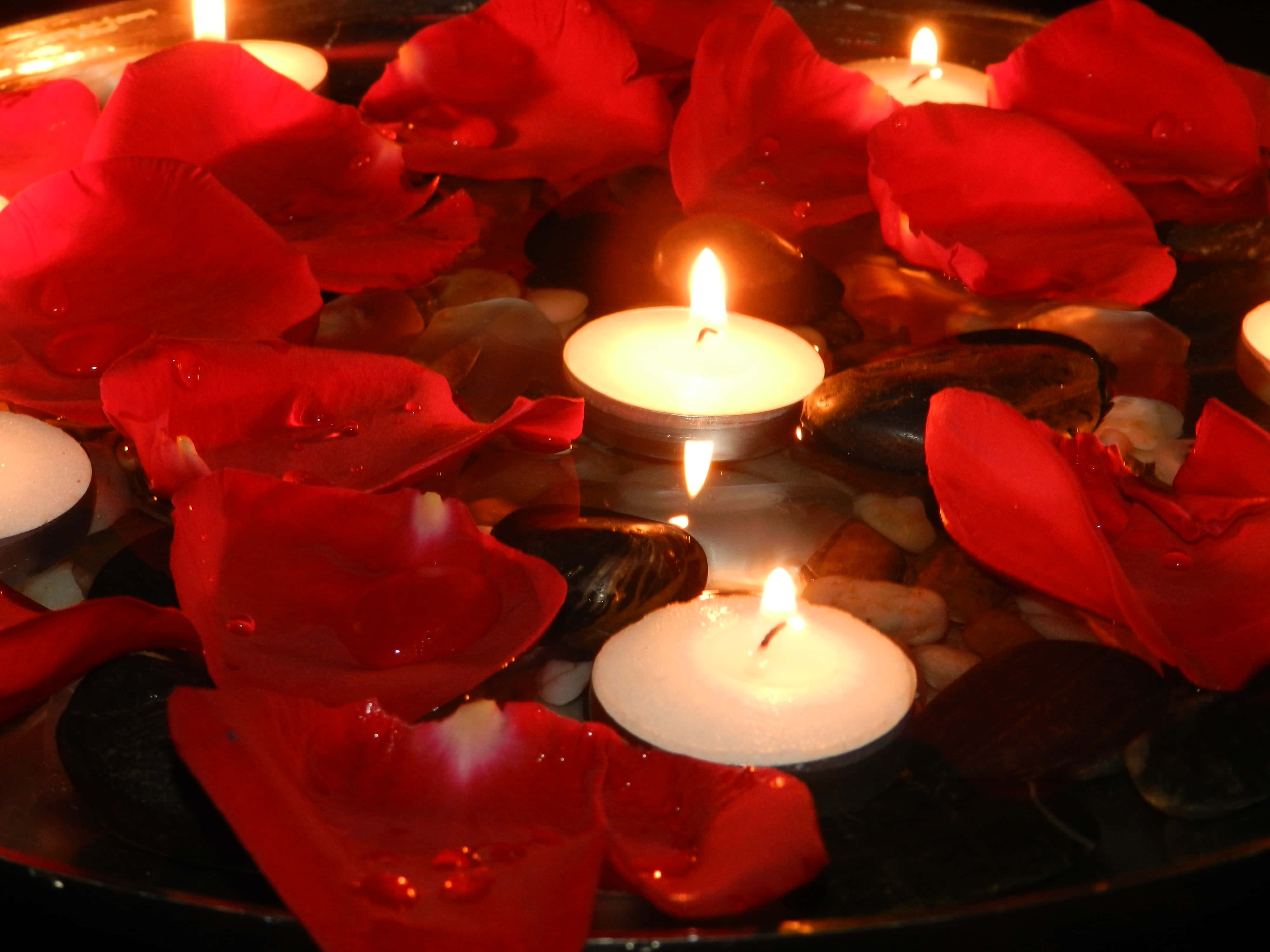 candlelit rose petals, red rose petals, white candles, 4K Desktop Wallpaper