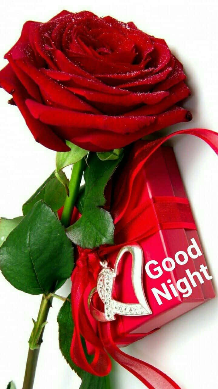 Good Night Rose, red rose, dew drops, SD Phone Wallpaper