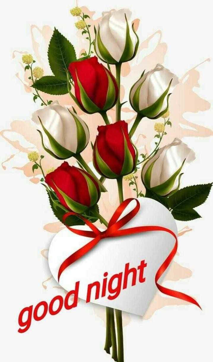 Good Night Rose, red roses, white roses, SD Phone Wallpaper