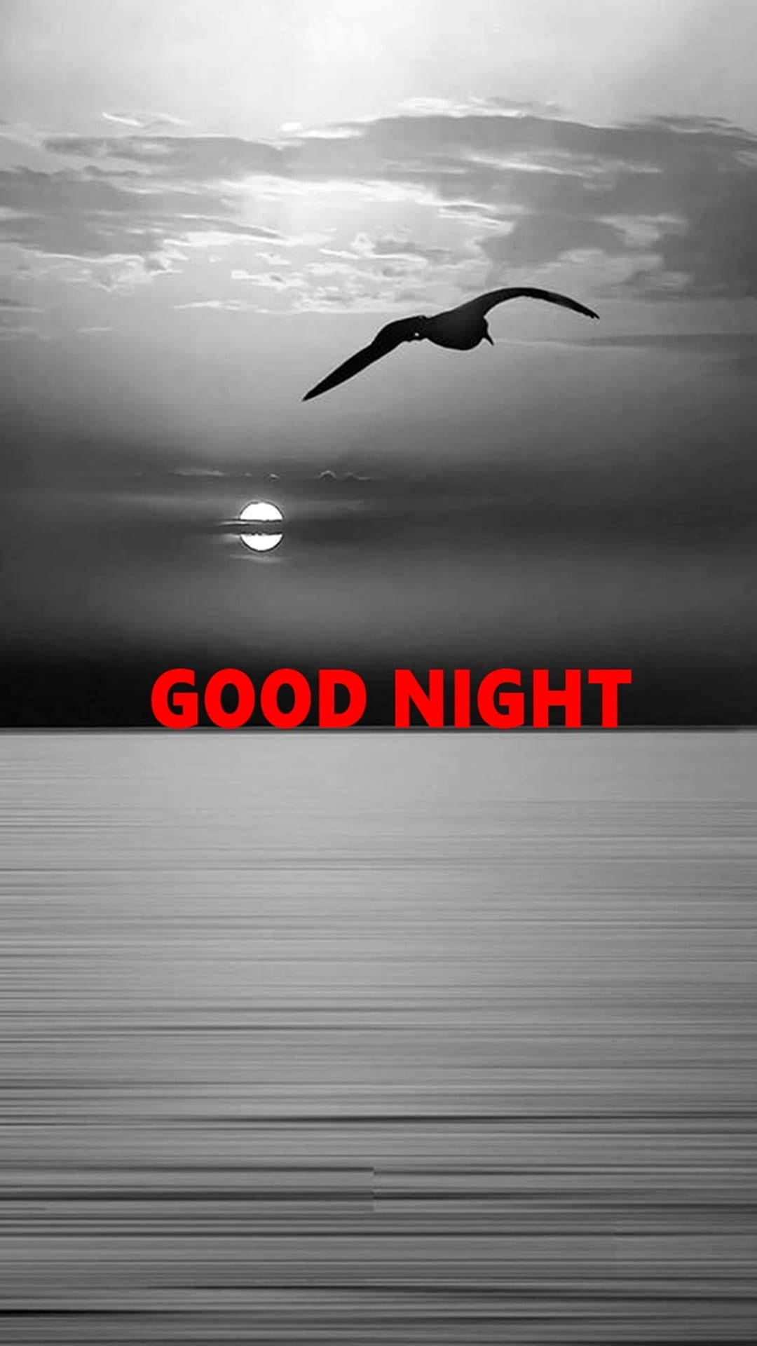 Good Night, seagull, calm waters, Full HD Phone Wallpaper