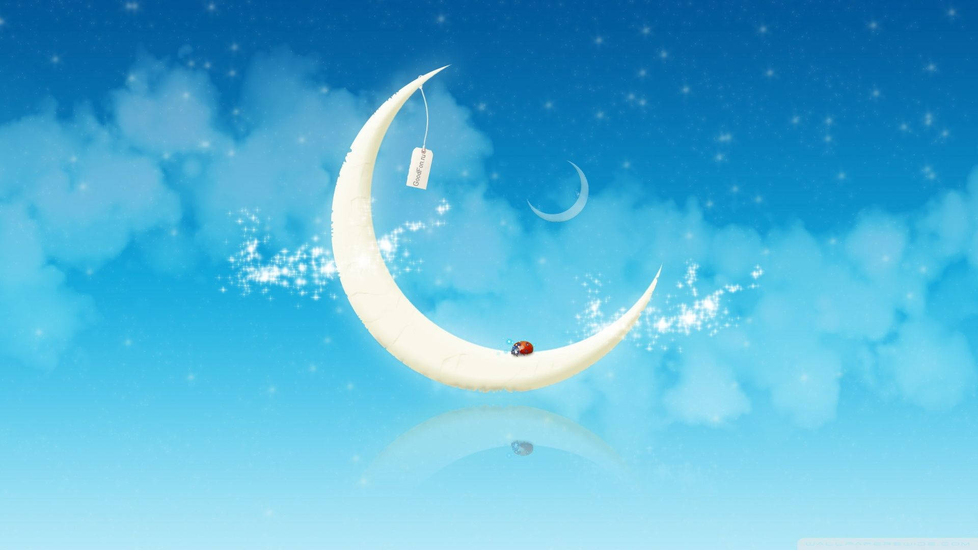 ladybug, glowing crescent moon, starry blue sky, Full HD Desktop Wallpaper