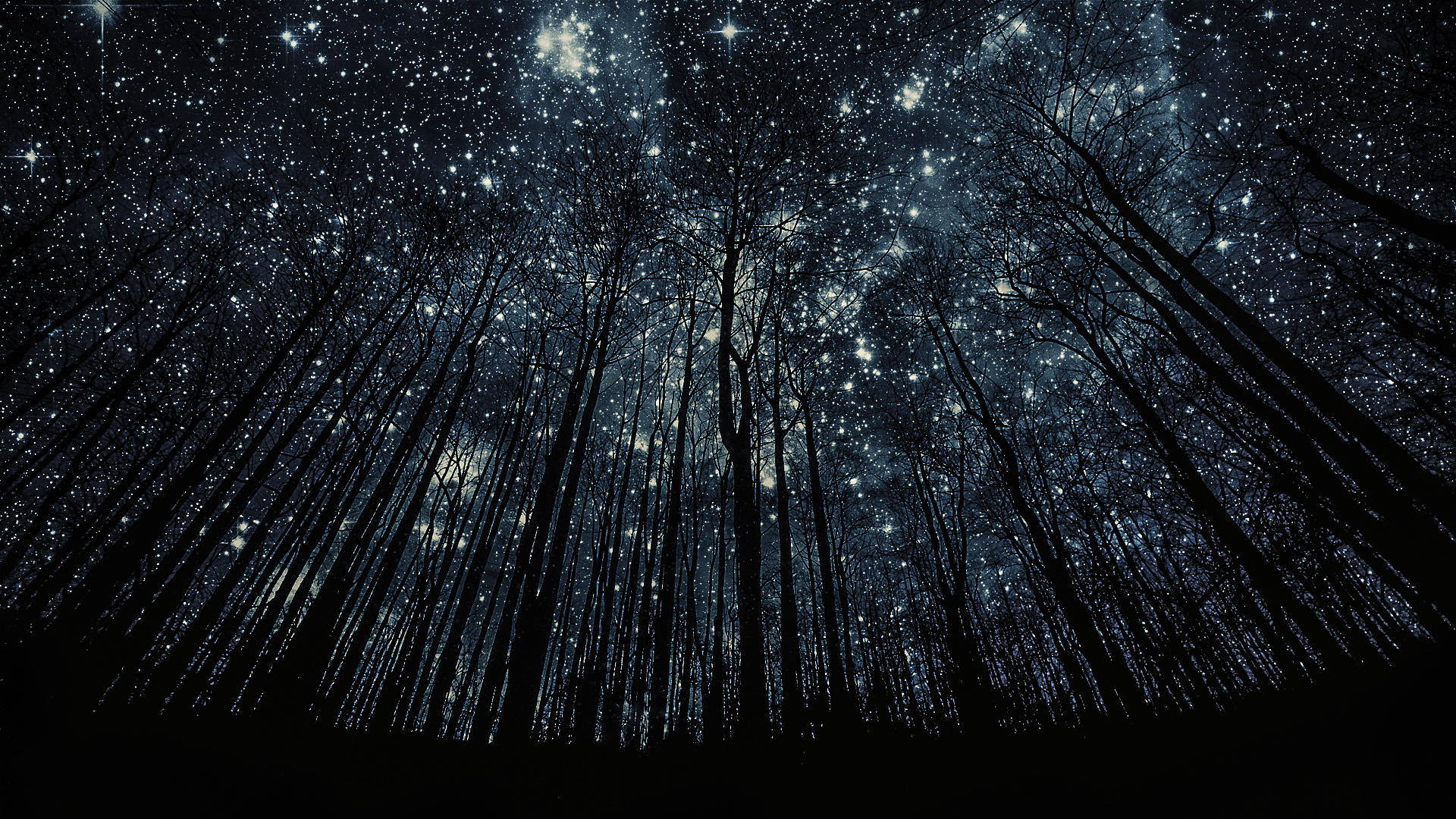 Starry Night, twinkling stars, deep blue night sky, Full HD Desktop Wallpaper