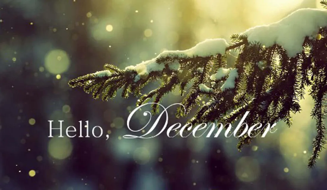 Goodbye November Hello December