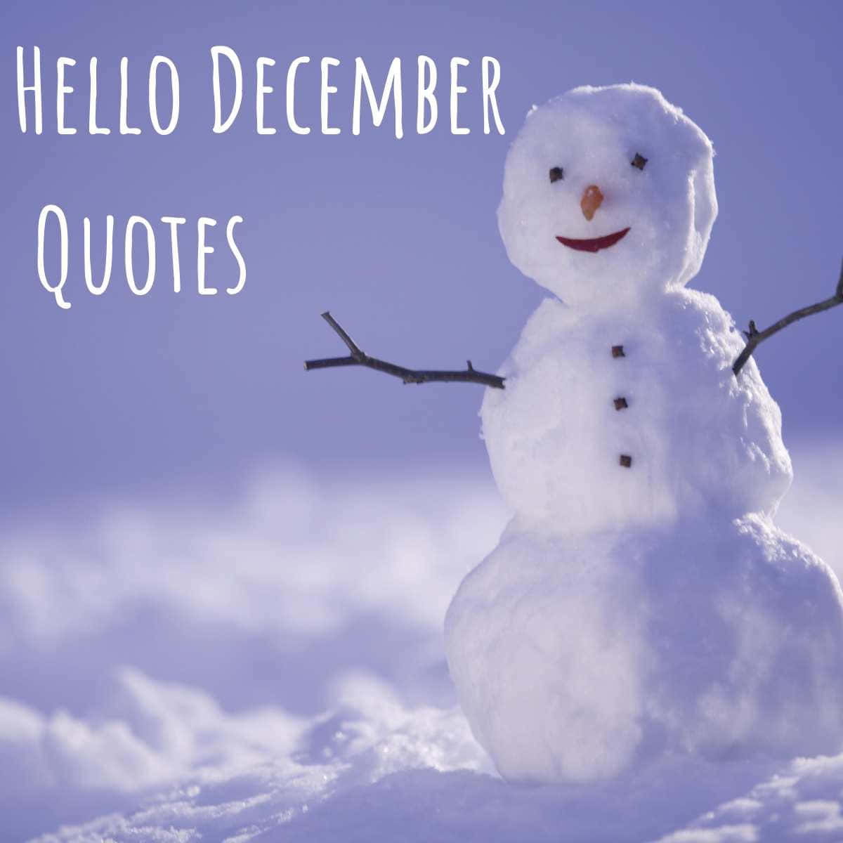 Goodbye November Hello December, snowman, twig arms, SD Desktop Wallpaper