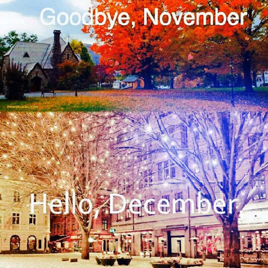 Goodbye November Hello December, autumn trees, twinkling winter lights, SD Desktop Wallpaper