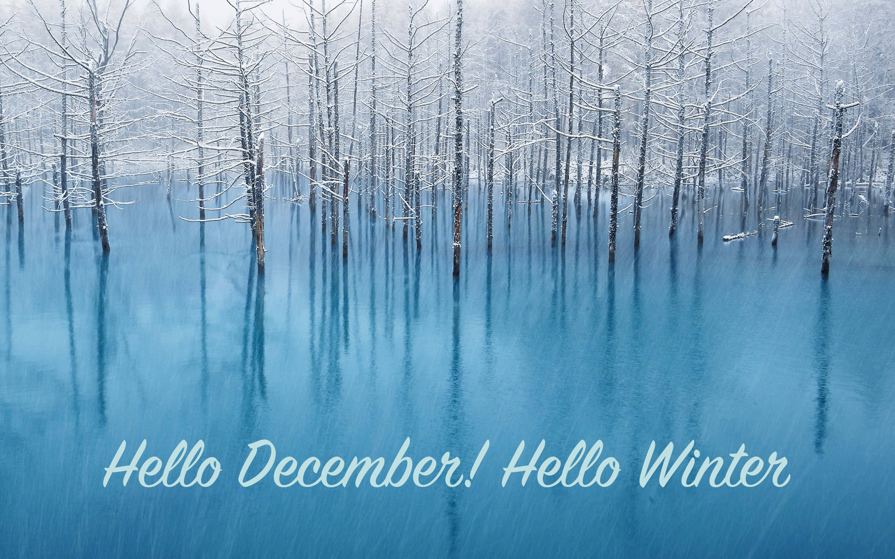 Goodbye November Hello December, snow-dusted trees, calm blue water, 2K Desktop Wallpaper