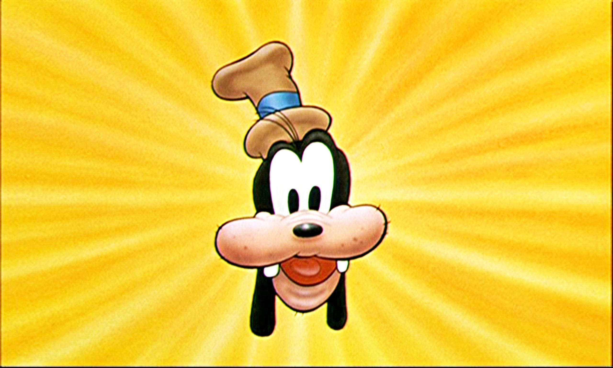 Goofy, brown top hat, blue band, 2K Desktop Wallpaper
