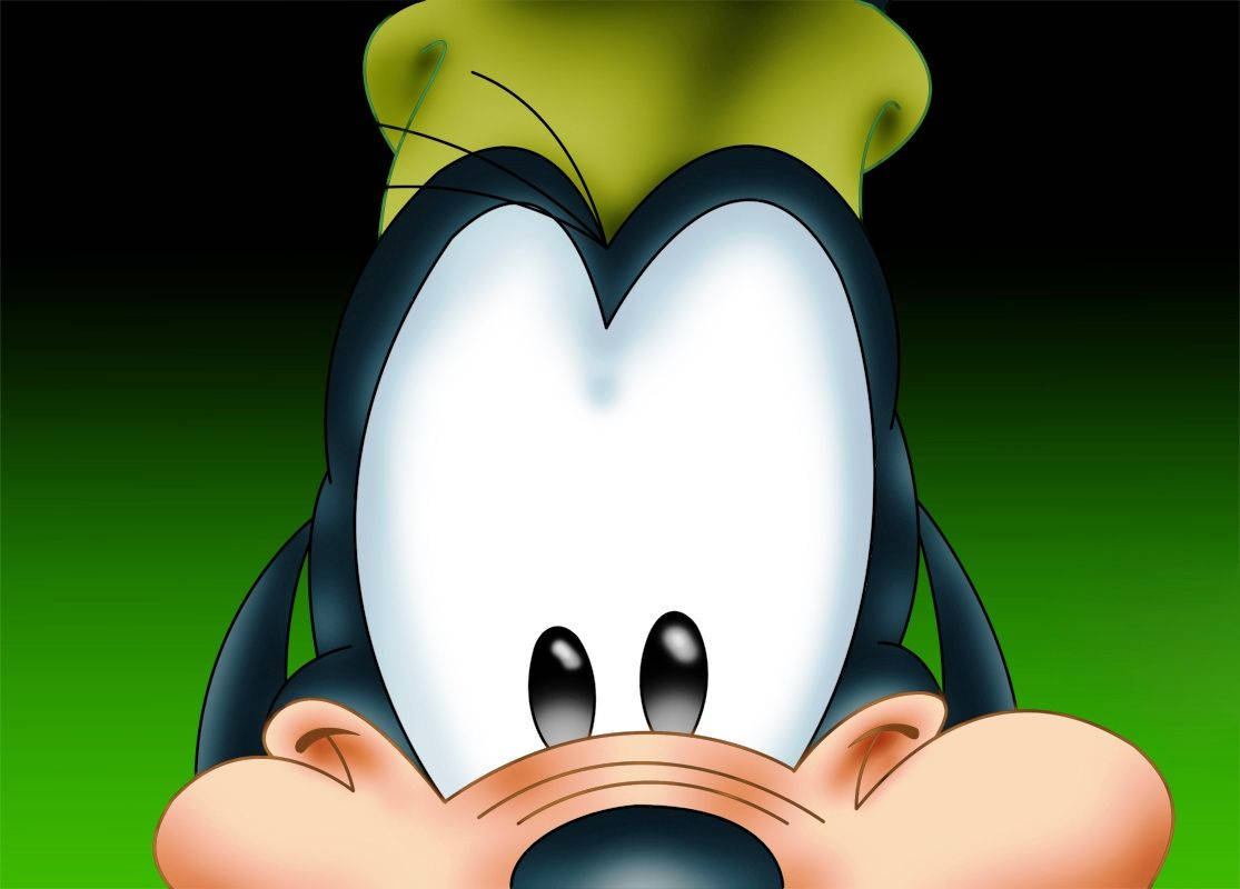 Goofy, eyes, green background, SD Desktop Wallpaper