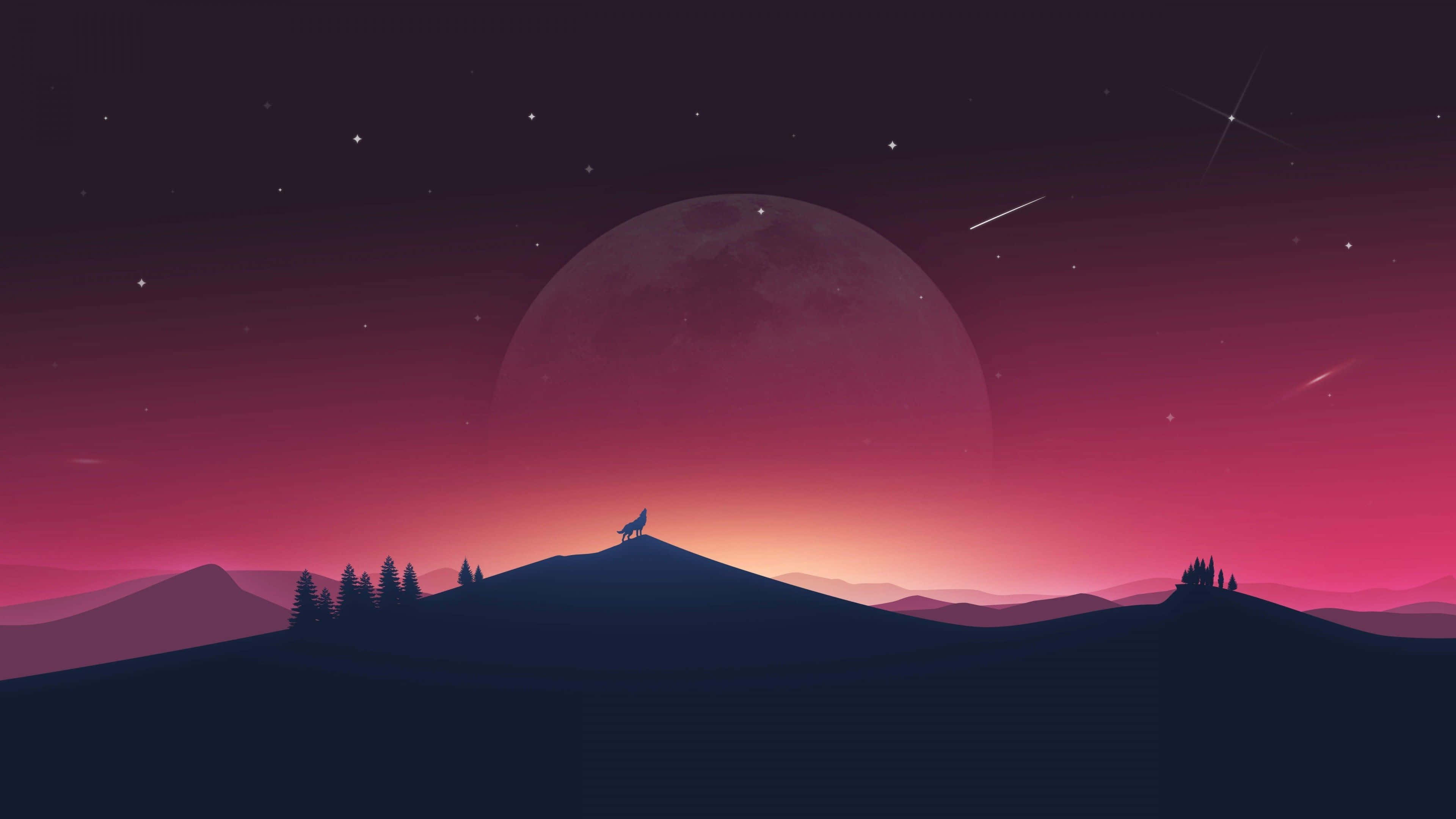 Google Desktop, wolf, hill, 4K Desktop Wallpaper