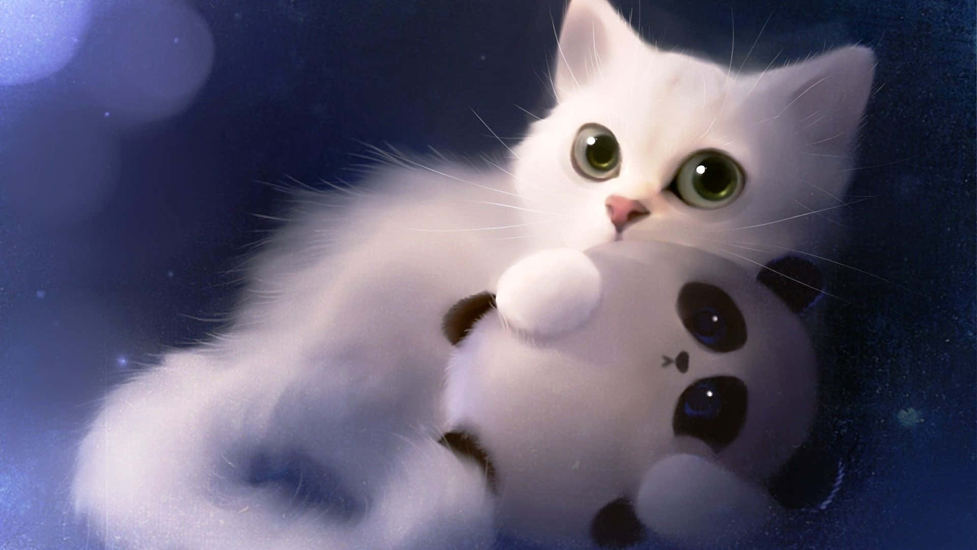 Google Desktop, fluffy white kitten, green eyes, Full HD Desktop Wallpaper