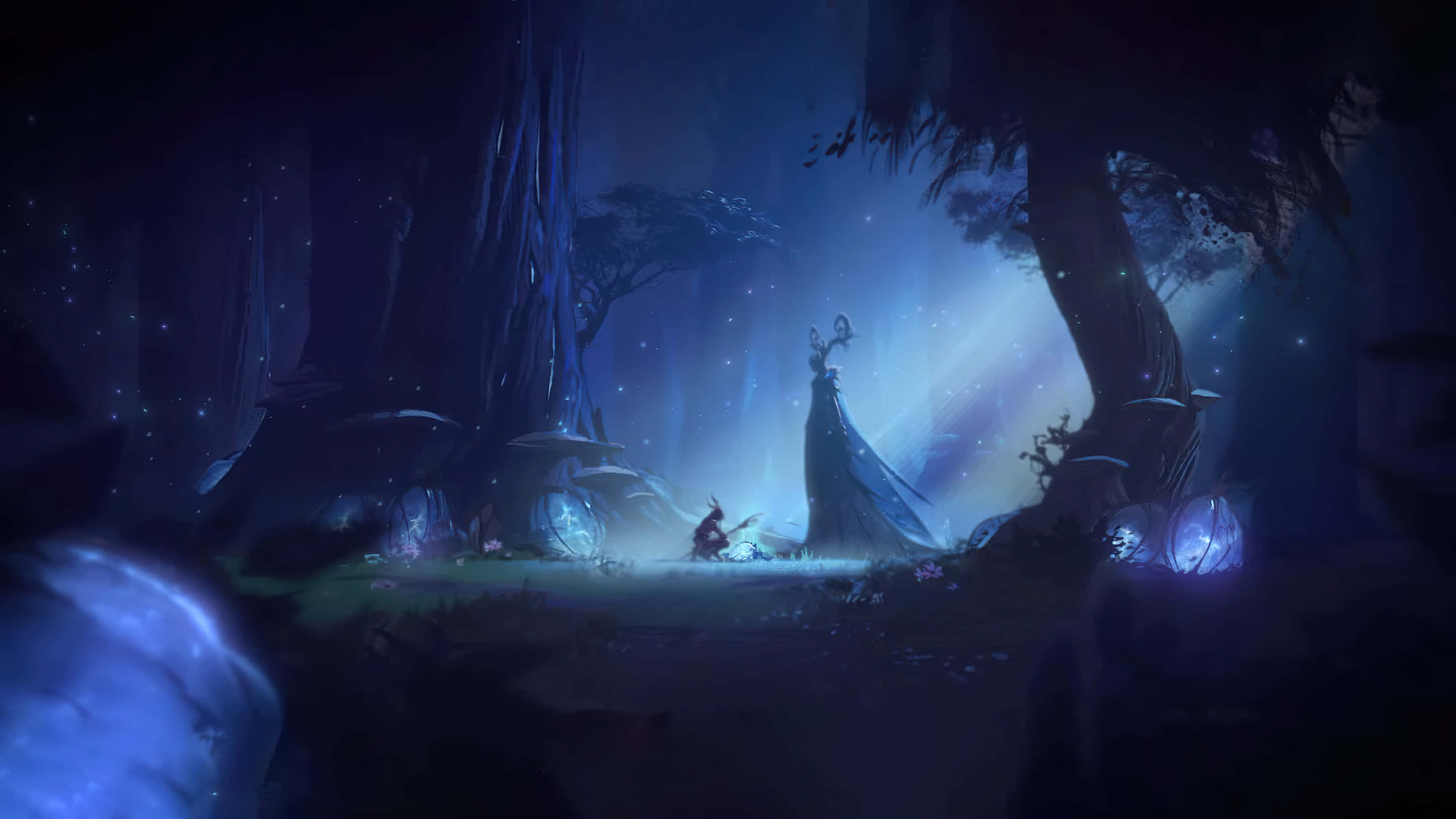 Google Desktop, moonlit forest, blue bioluminescent fungi, 4K Desktop Wallpaper