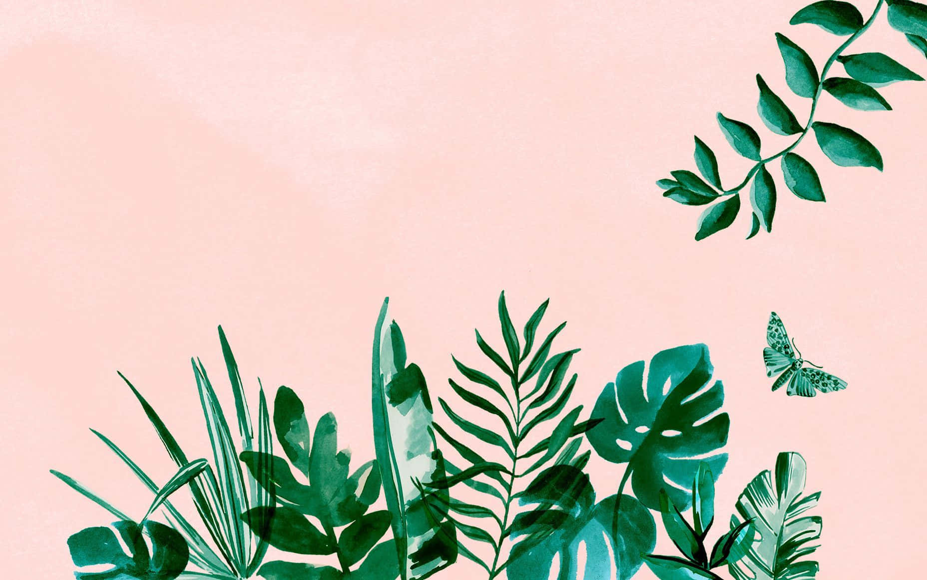 Google Desktop, green plants, tropical leaves, HD Desktop Wallpaper