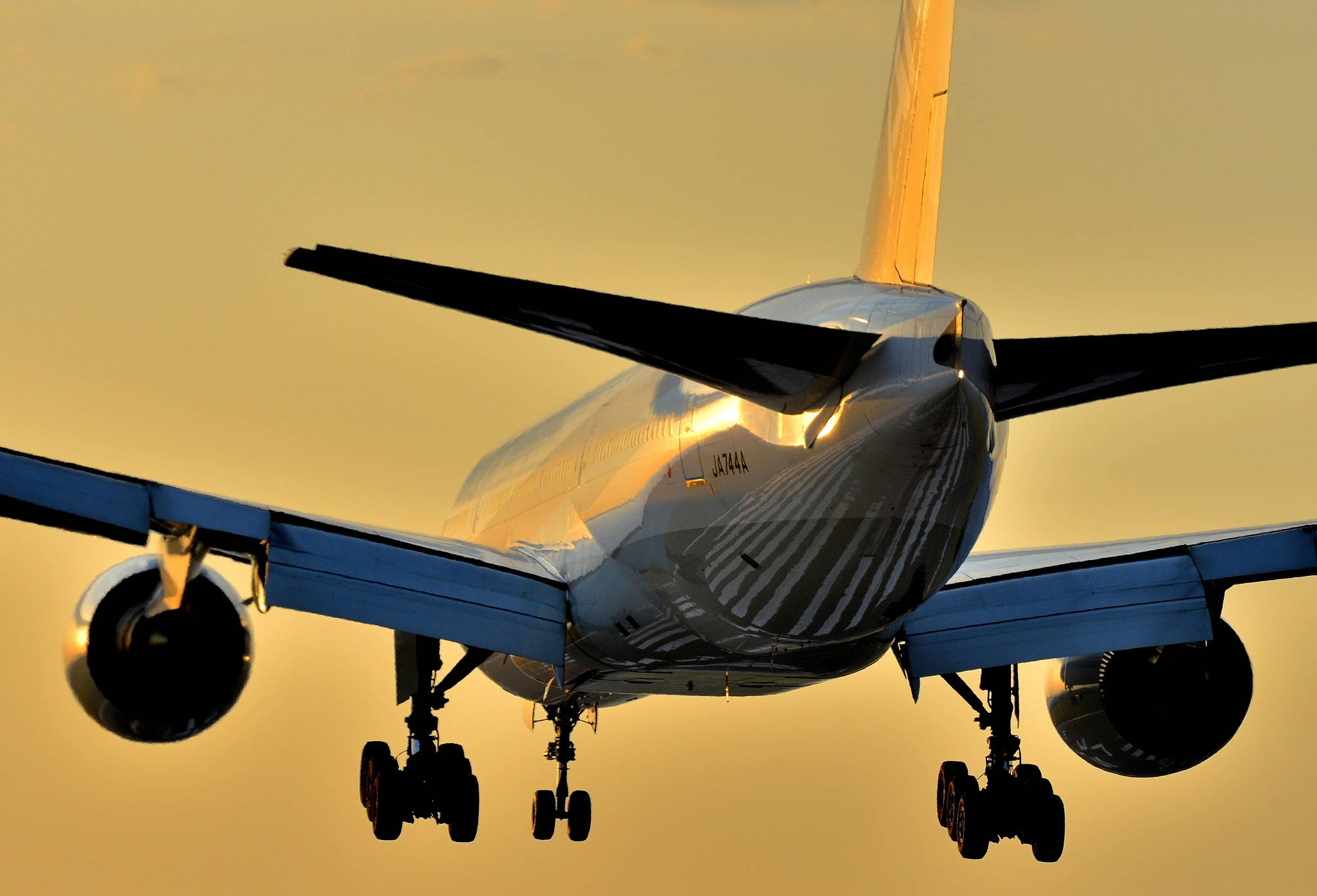 Google Flights, passenger jet, landing gear, Full HD Desktop Wallpaper