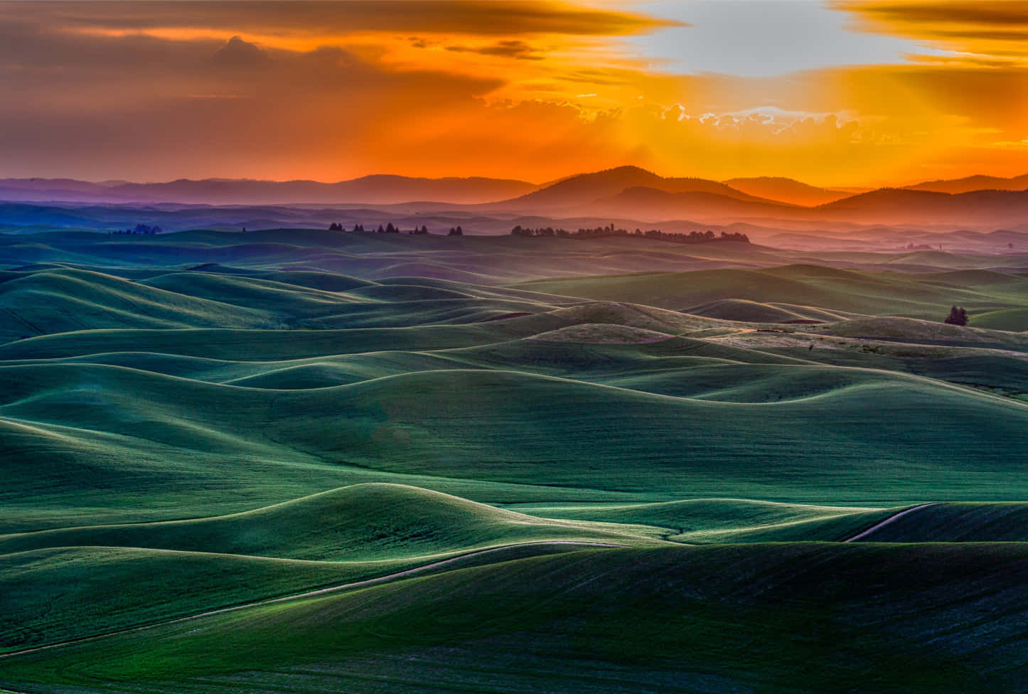 Google Landscape, fiery orange sunset, rolling green hills, HD Desktop Wallpaper