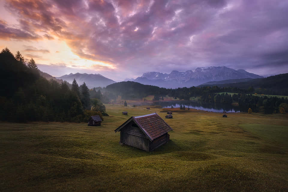 Google Landscape, sunset, misty meadow, SD Desktop Wallpaper