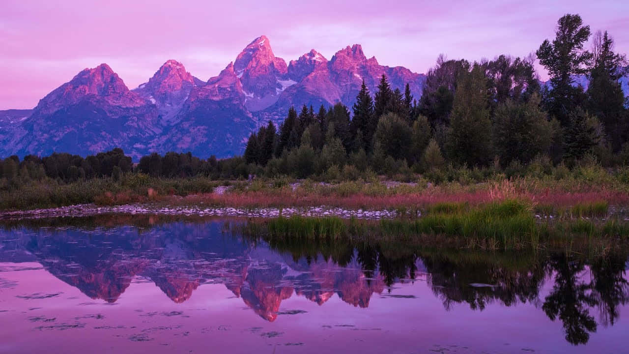 Google Landscape, pink mountains, purple mountains, HD Desktop Wallpaper