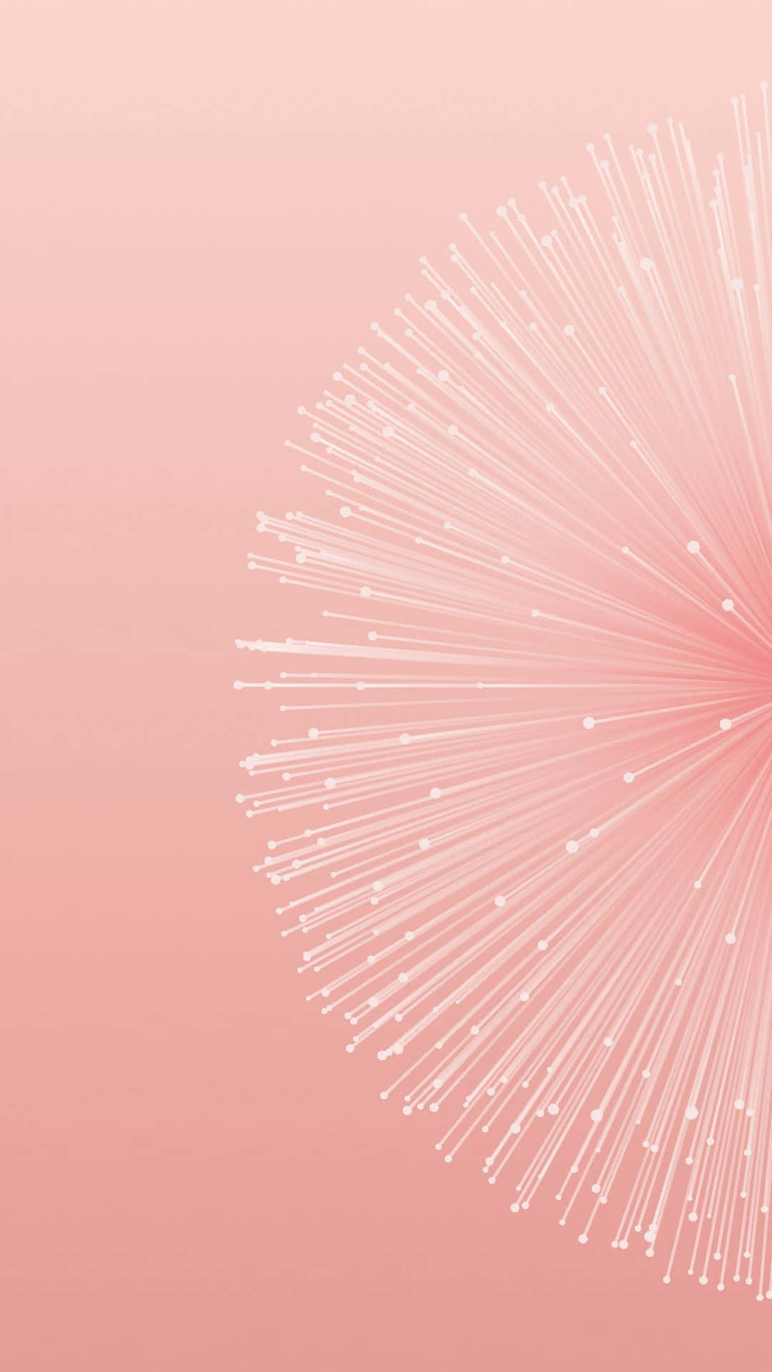 Google Pixel 3 Stock, pink background, dandelion flower, Full HD Phone Wallpaper