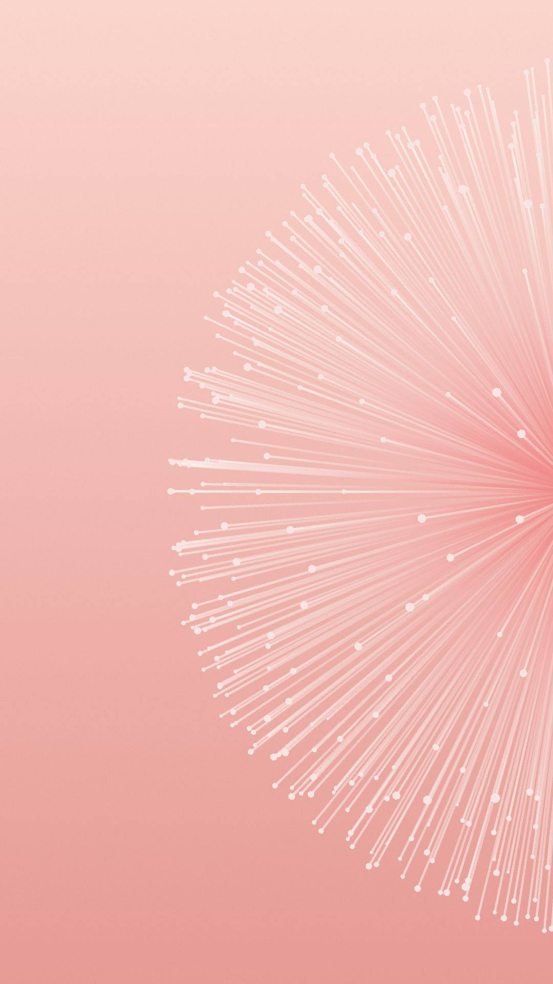 Pink Google Pixel 3, Google Pixel 3, white dandelion seed head, Full HD Phone Wallpaper