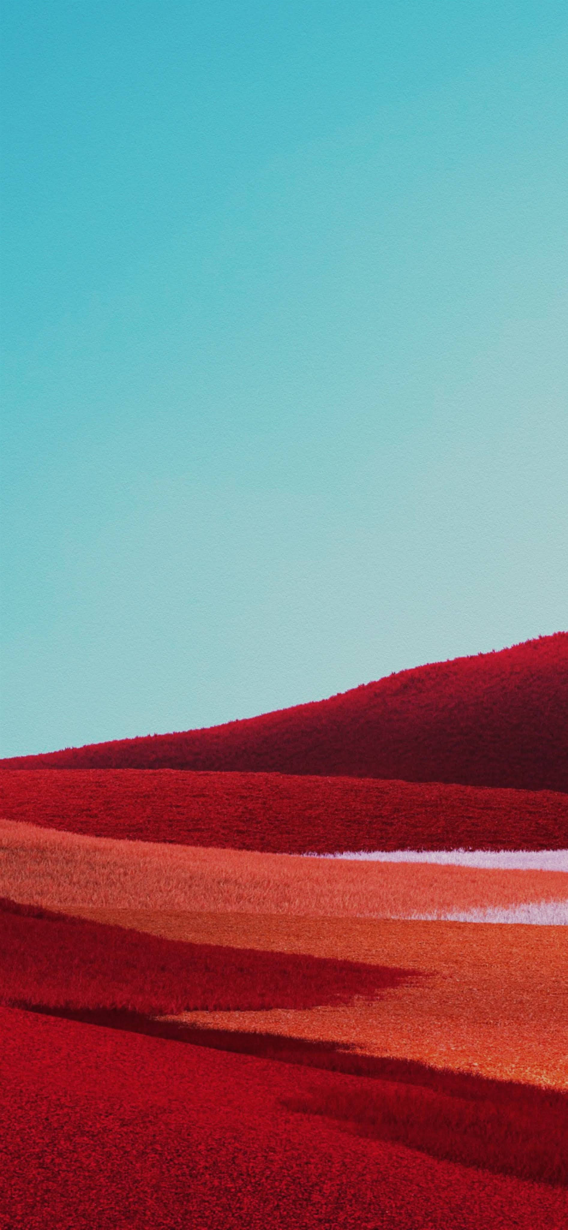 Google Pixel 4, red, textured hills, 4K Phone Wallpaper
