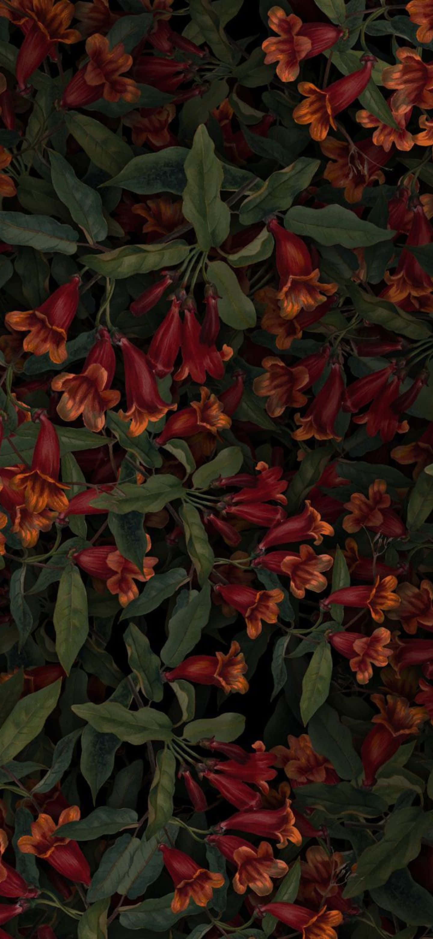 Google Pixel 6 Pro, vibrant red, orange, 2K Phone Wallpaper