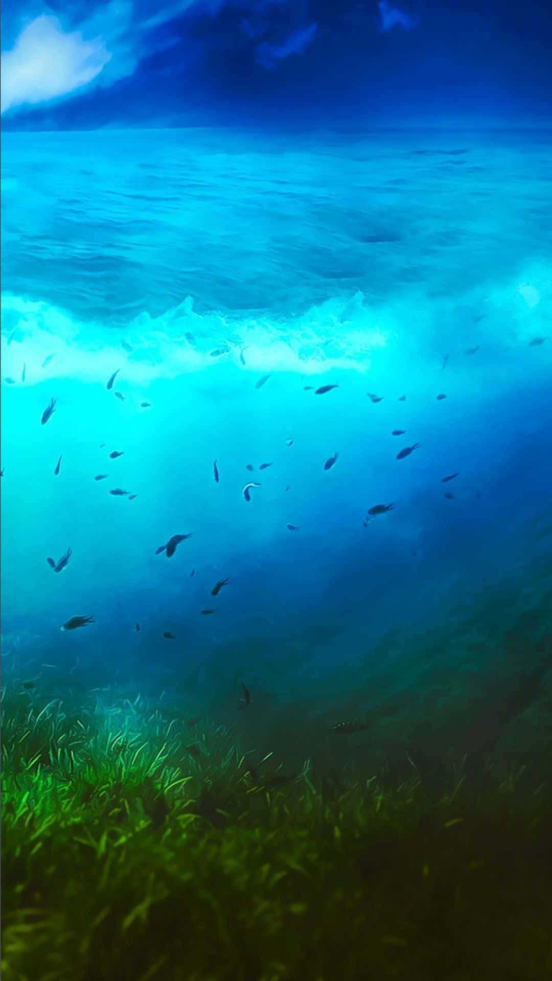 Google Pixel Water, turquoise ocean, green seagrass, Full HD Phone Wallpaper