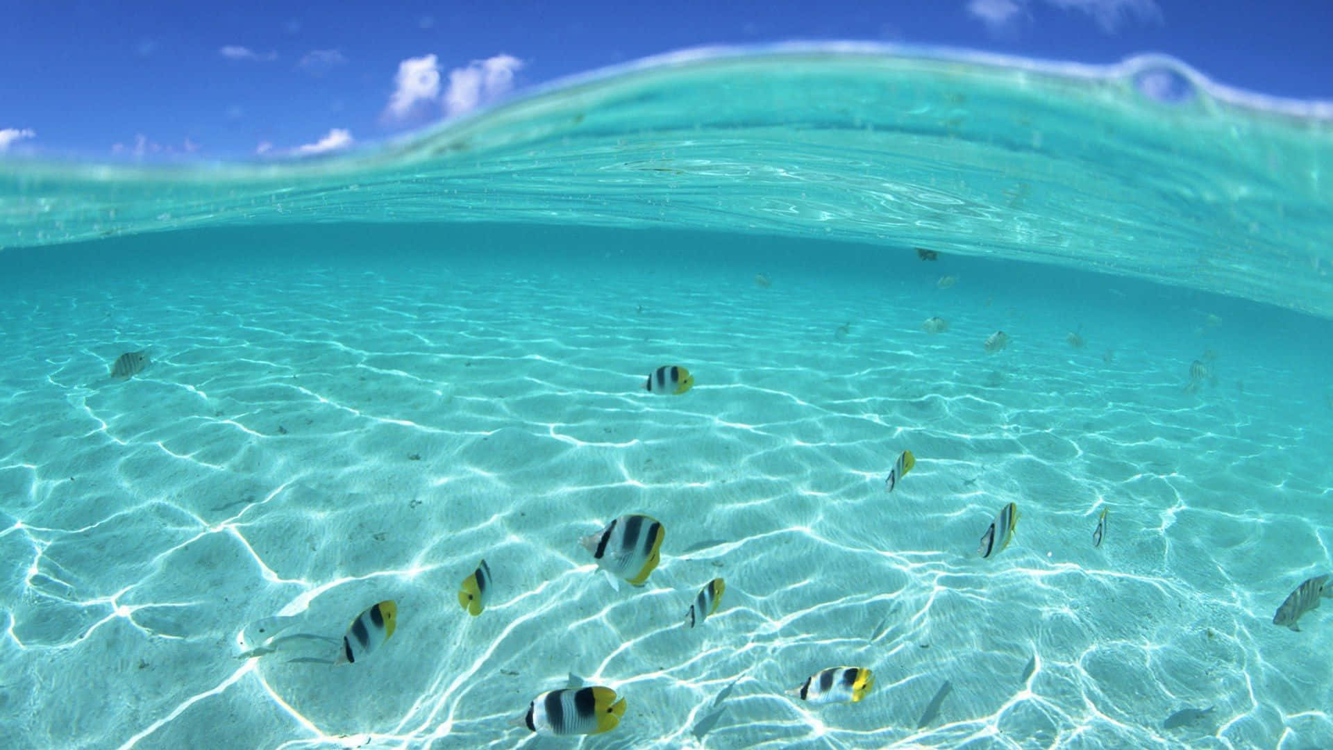 Google Pixel Water, turquoise ocean, sunlight patterns, Full HD Desktop Wallpaper