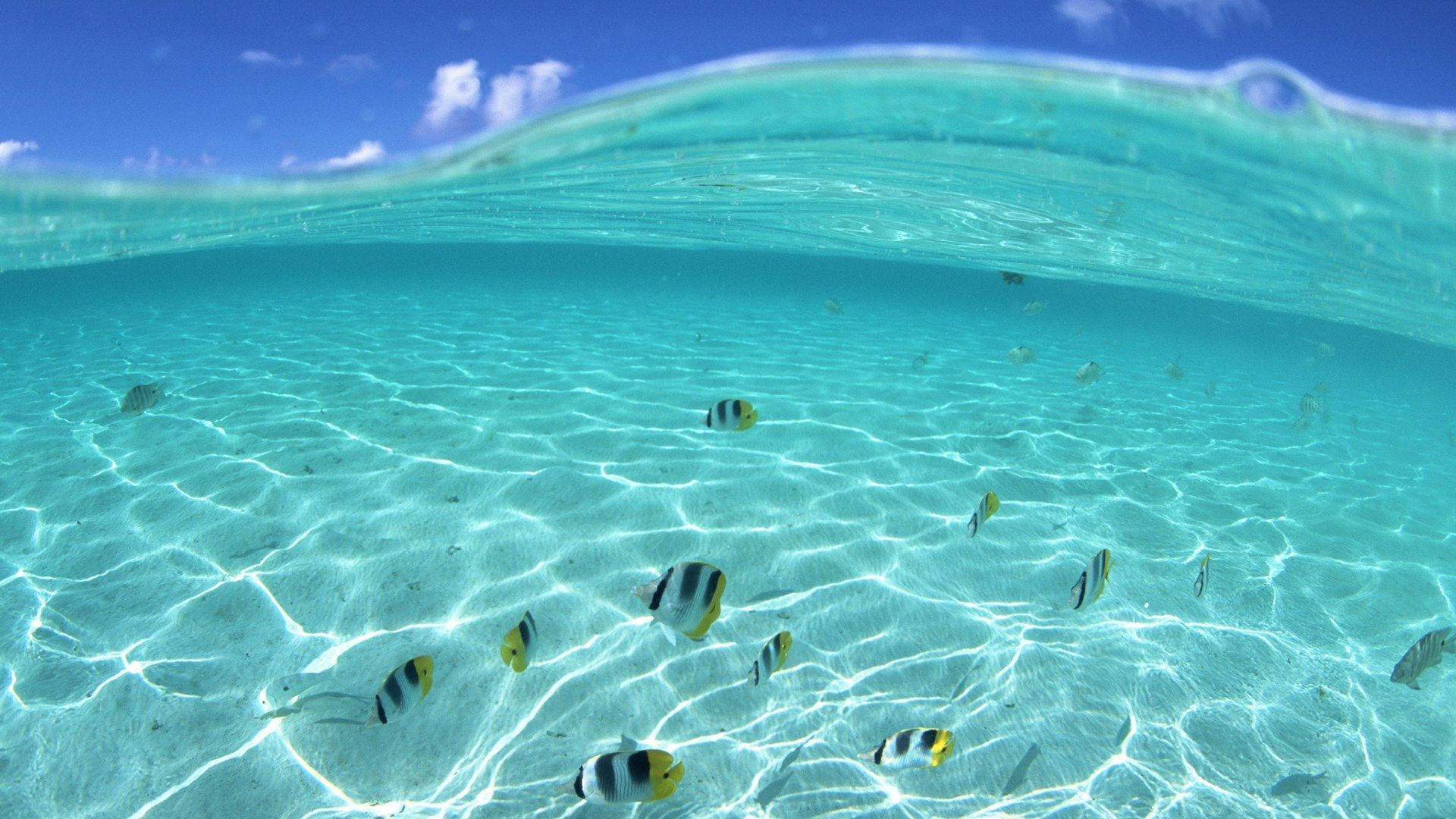 Google Pixel, blue sea, turquoise ocean, Full HD Desktop Wallpaper