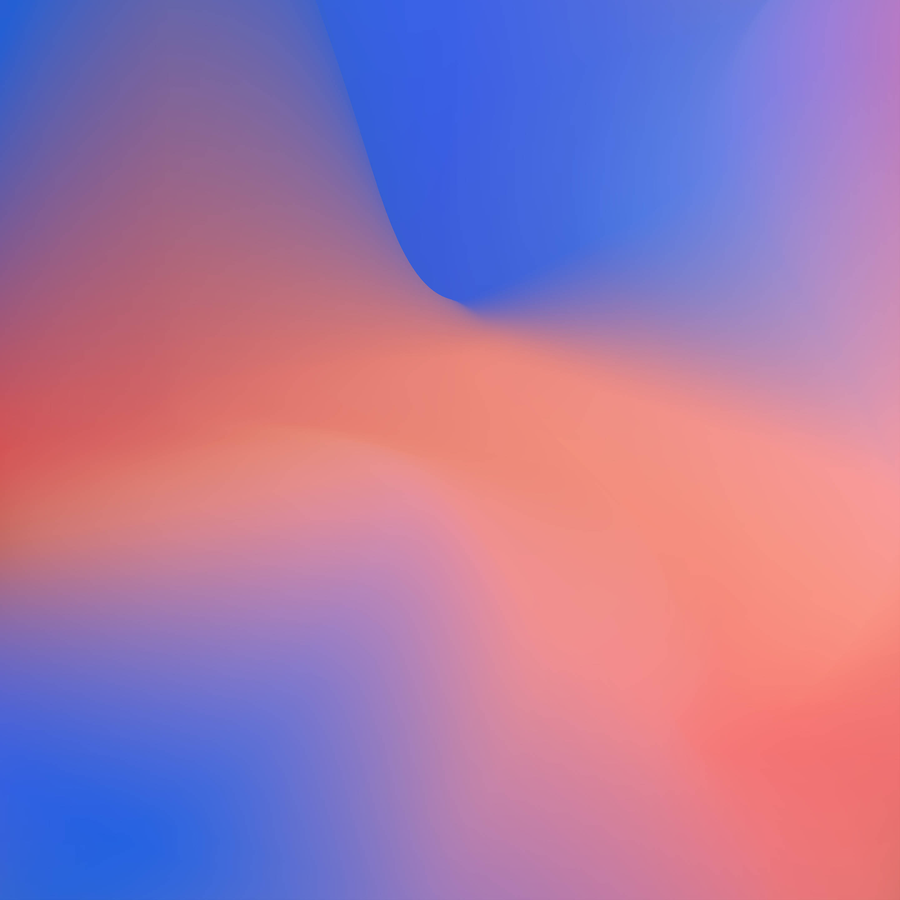 Google, pink, blue, 2K Desktop Wallpaper