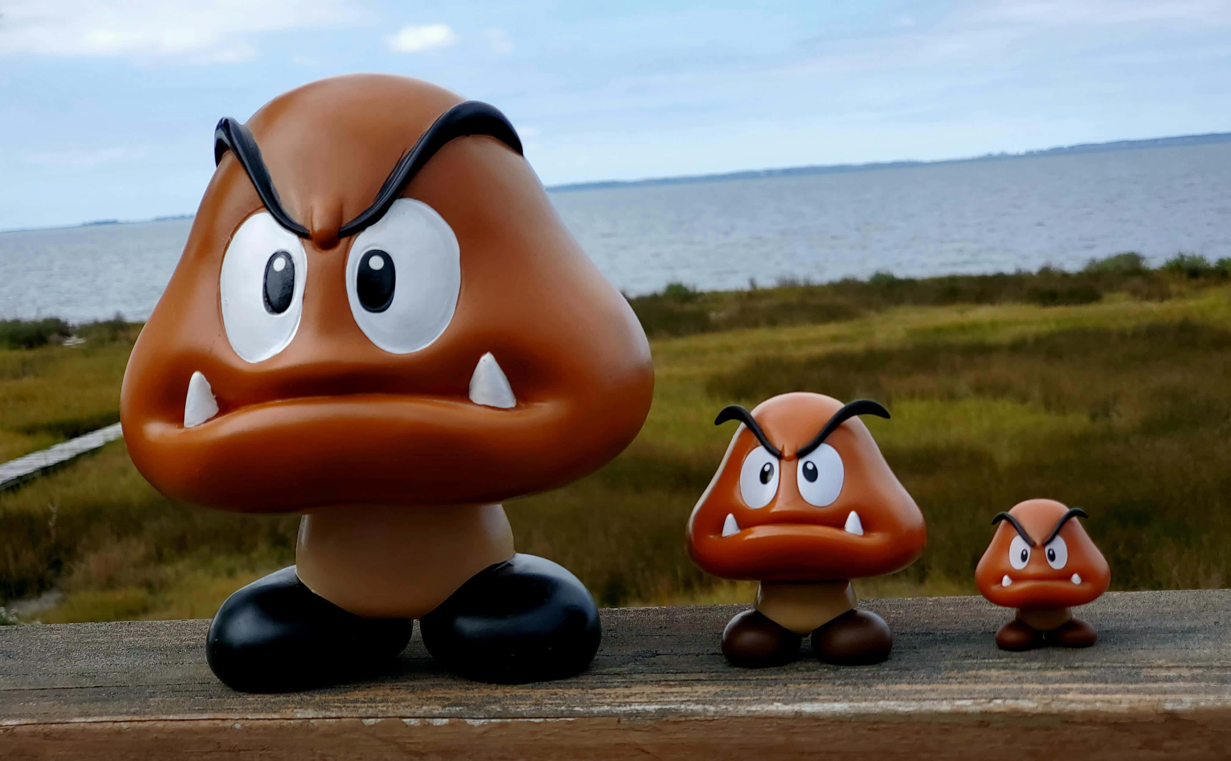 Goomba, wooden railing, grassy marsh, 4K Desktop Wallpaper
