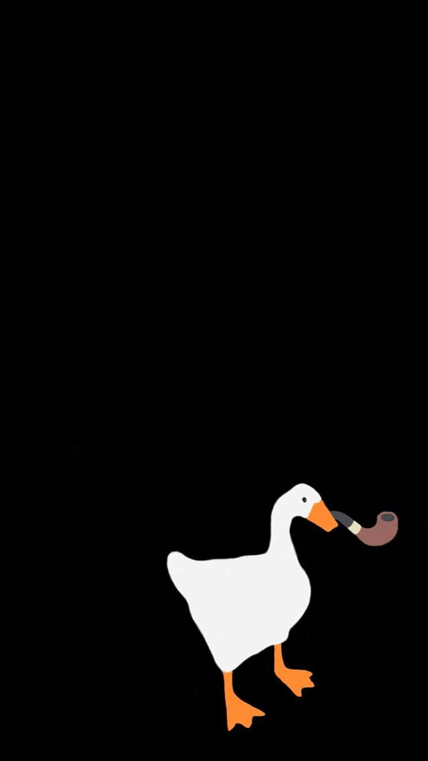 funny goose, orange feet, orange beak, HD Phone Wallpaper