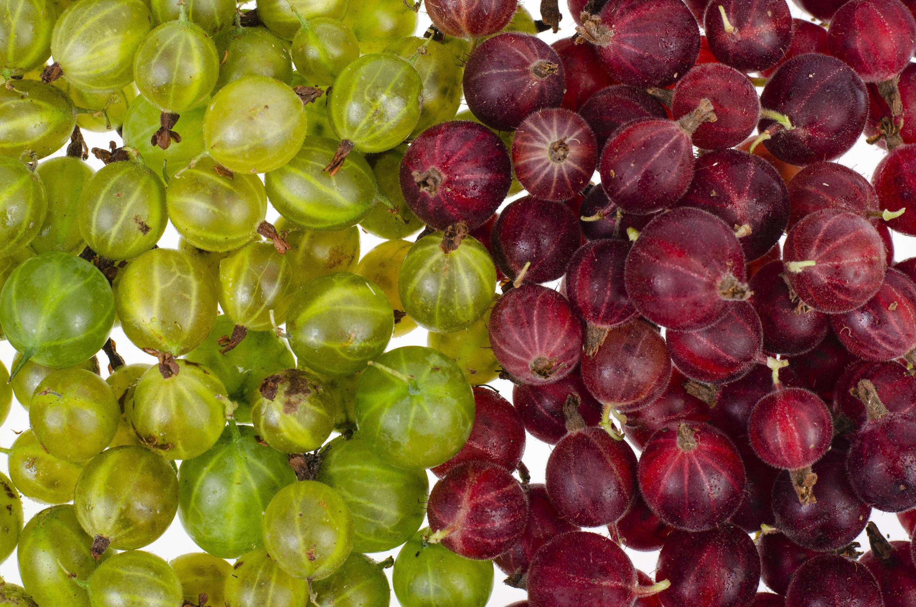 Green Gooseberry, Red Gooseberry, gooseberries, 2K Desktop Wallpaper
