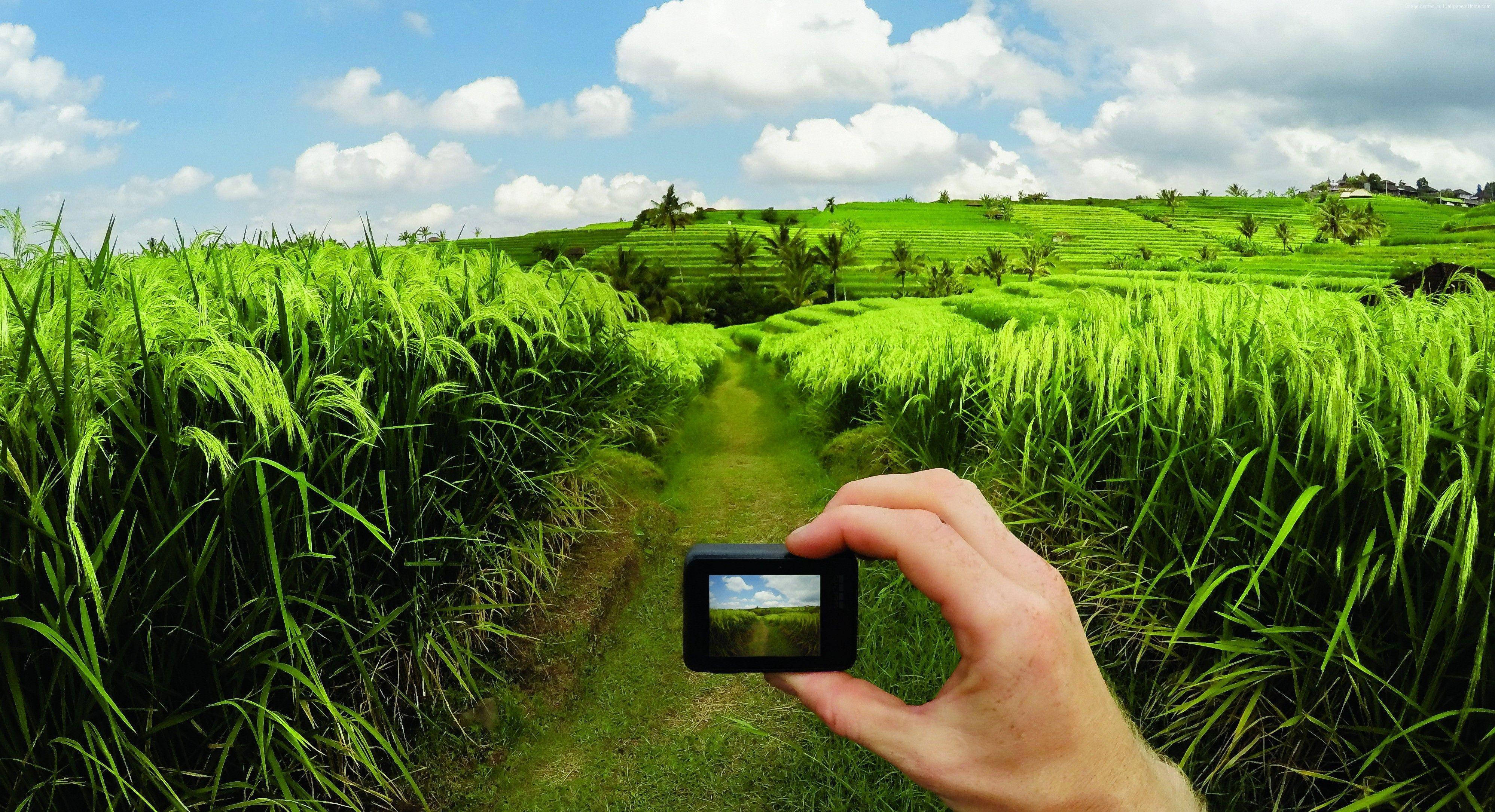 GoPro, grassy pathway, vibrant green rice terraced field, 4K Desktop Wallpaper