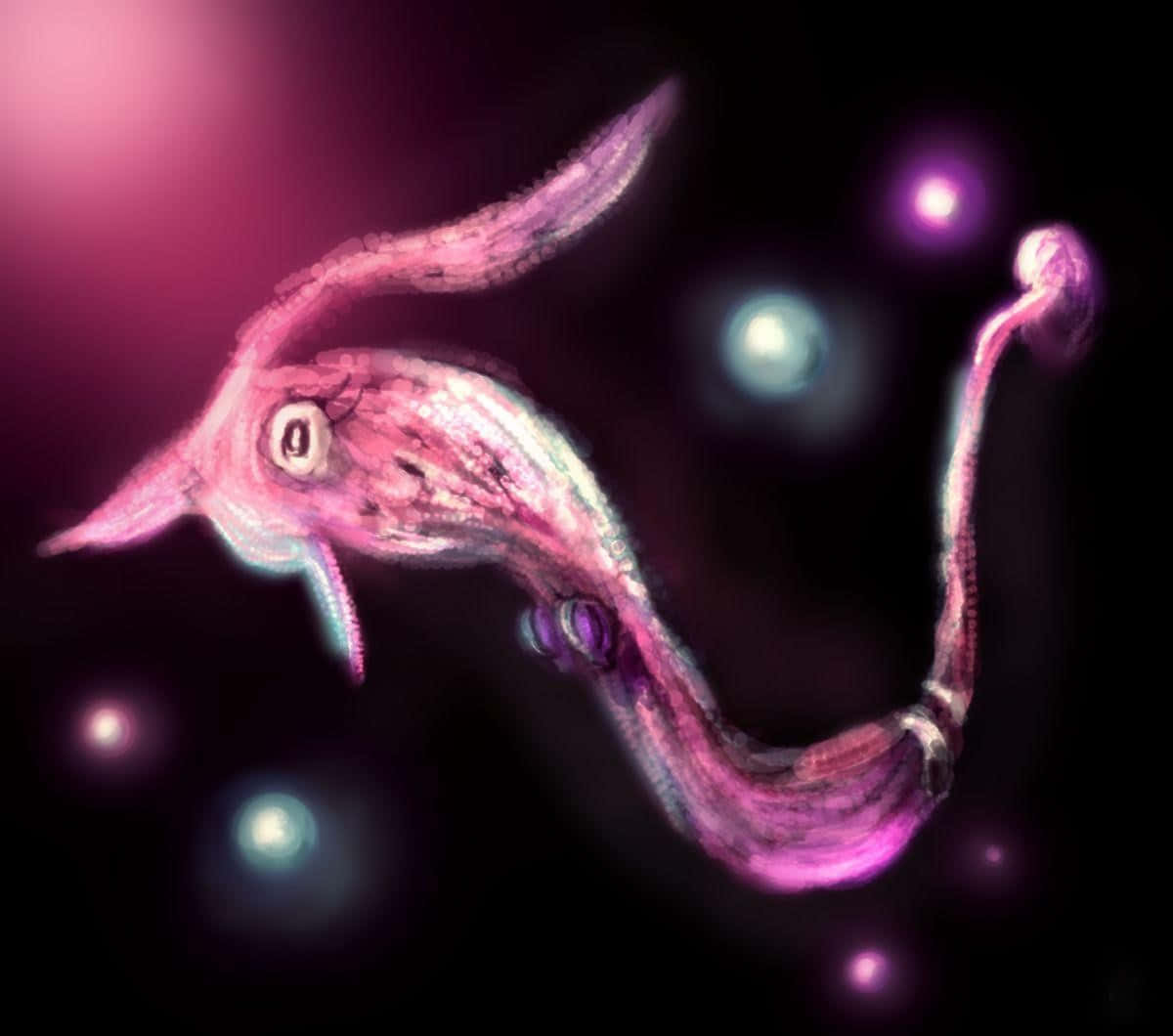 Gorebyss, glowing pink, one large eye, SD Desktop Wallpaper