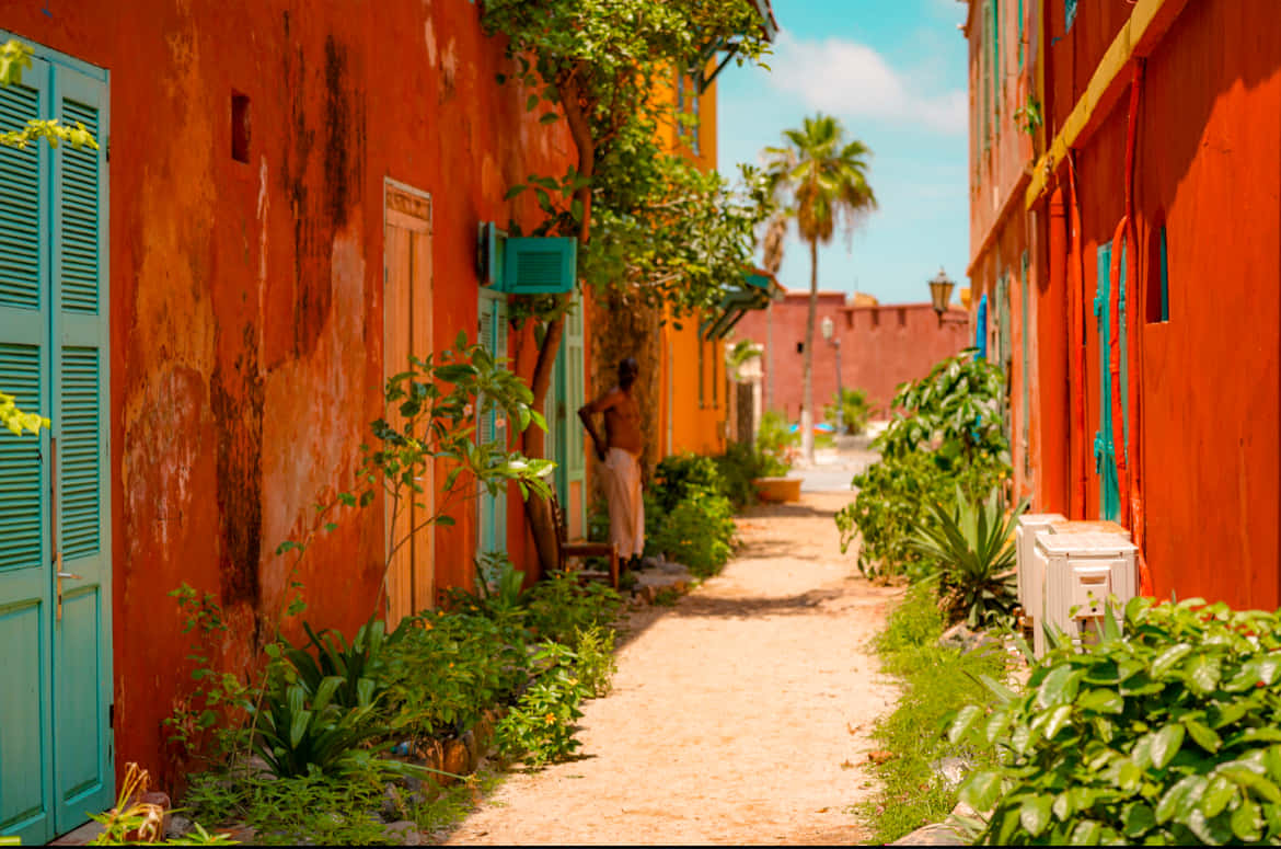 Goree, orange houses, colonial buildings, SD Desktop Wallpaper