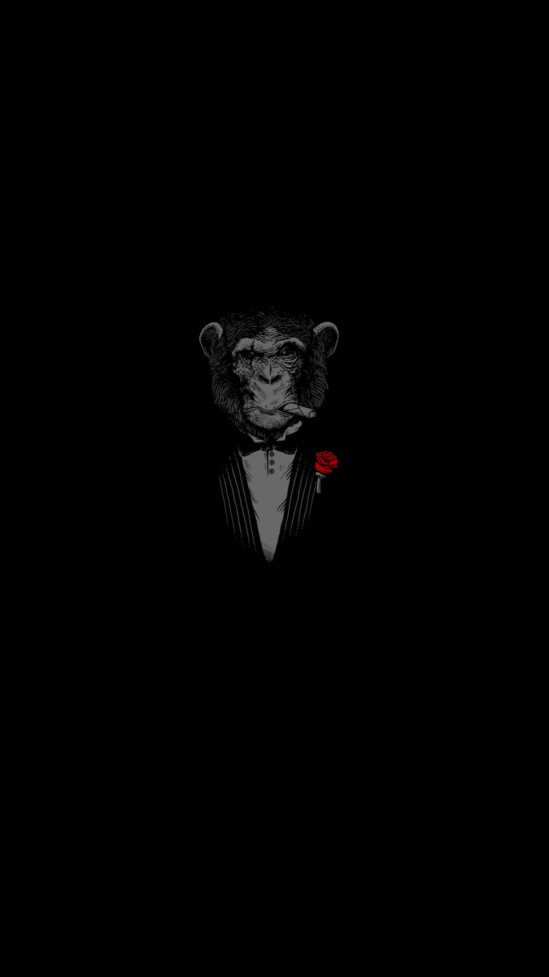 chimpanzee, tuxedo, red rose boutonniere, Full HD Phone Wallpaper